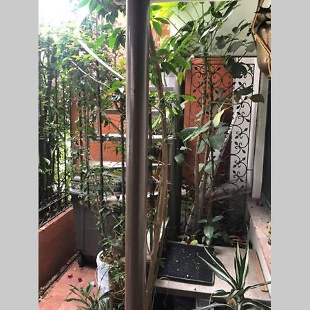 Amplia Habitacion Tipo Ejecutiva Con Bano Y Acceso Privados Toluca Exteriör bild